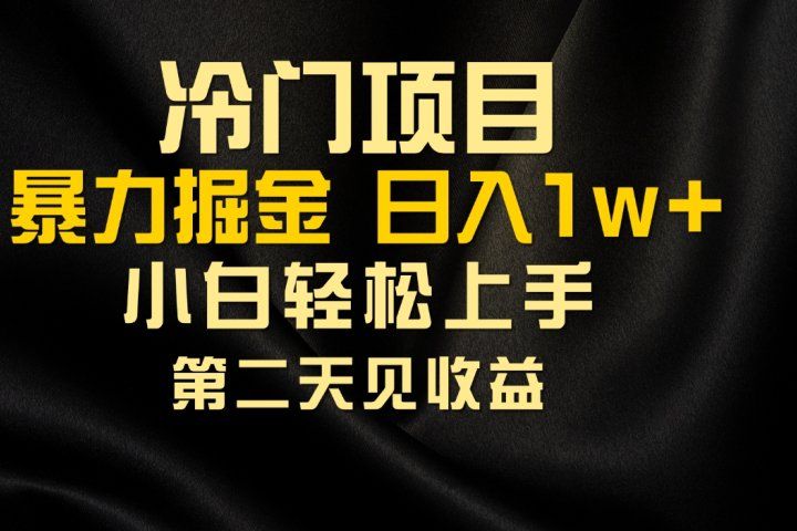 冷门项目,靠一款软件日入10000+暴力掘金小白轻松上手,第二天见收益网创吧-网创项目资源站-副业项目-创业项目-搞钱项目网创吧