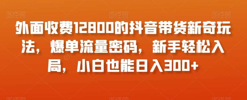 外面收费12800的抖音带货新奇玩法,爆单流量密码,新手轻松入局,小白也能日入300+【揭秘】网创吧-网创项目资源站-副业项目-创业项目-搞钱项目网创吧