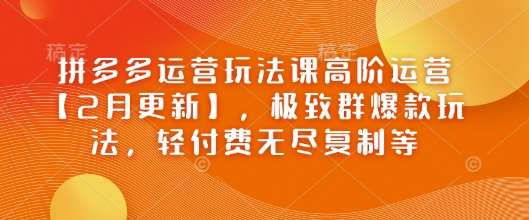 拼多多运营玩法课高阶运营【2月更新】,极致群爆款玩法,轻付费无尽复制等网创吧-网创项目资源站-副业项目-创业项目-搞钱项目网创吧