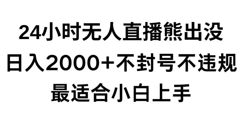 快手24小时无人直播熊出没,不封直播间,不违规,日入2000+,最适合小白上手,保姆式教学【揭秘】网创吧-网创项目资源站-副业项目-创业项目-搞钱项目网创吧