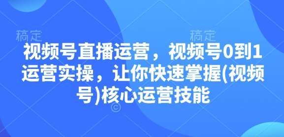视频号直播运营，视频号0到1运营实操，让你快速掌握(视频号)核心运营技能网创吧-网创项目资源站-副业项目-创业项目-搞钱项目网创吧