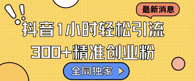 全网独家抖音引流,轻松日引300+精准创业粉【揭秘】网创吧-网创项目资源站-副业项目-创业项目-搞钱项目网创吧