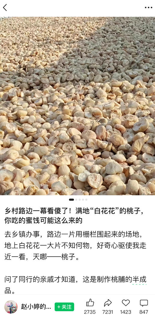 公众号小绿书贴图项目,赚收益实操玩法,听话照听话照少走90%弯路丨副业可做网创吧-网创项目资源站-副业项目-创业项目-搞钱项目网创吧