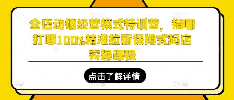 全店动销经营模式特训营,指哪打哪100%精准拉新保姆式起店实操课程网创吧-网创项目资源站-副业项目-创业项目-搞钱项目网创吧