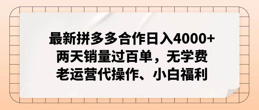 (12869期)拼多多最新合作日入4000+两天销量过百单,无学费、老运营代操作、小白福利网创吧-网创项目资源站-副业项目-创业项目-搞钱项目网创吧
