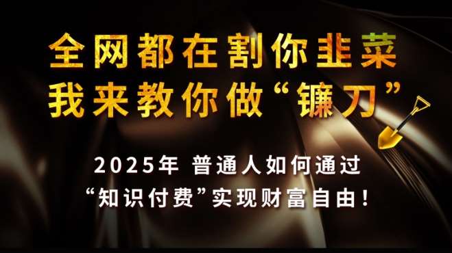 全网都在割你韭菜,我来教你做镰刀,2025普通人如何通过知识付费,实现财F自由【揭秘】网创吧-网创项目资源站-副业项目-创业项目-搞钱项目网创吧