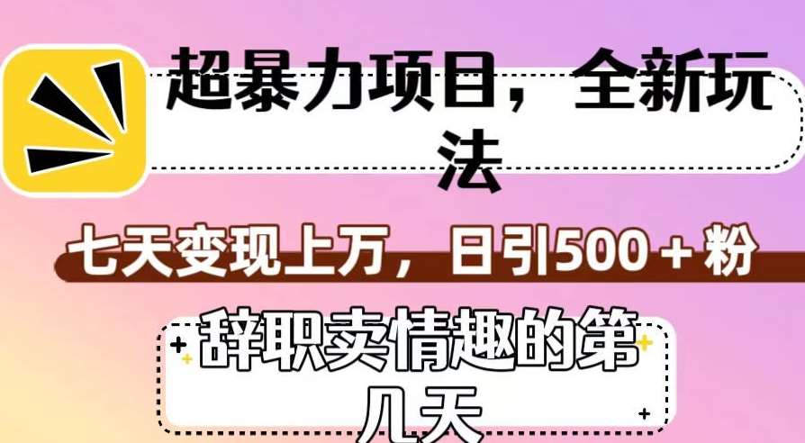 超暴利项目,全新玩法(辞职卖情趣的第几天),七天变现上万,日引500+粉【揭秘】网创吧-网创项目资源站-副业项目-创业项目-搞钱项目网创吧