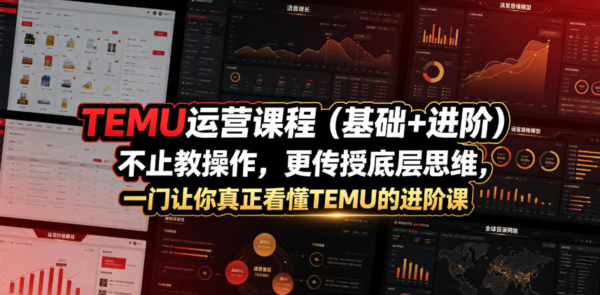 TEMU运营课程(基础+进阶),不止教操作,更传授底层思维,一门让你真正看懂TEMU的进阶课网创吧-网创项目资源站-副业项目-创业项目-搞钱项目网创吧