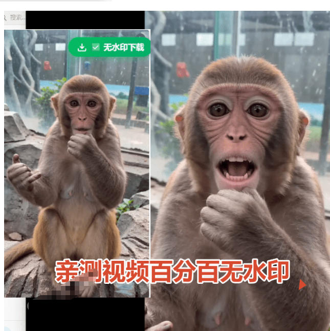 豆包无水印下载终于来了!支持豆包图片/视频,目前唯一免费使用的插件,浏览器拓展网创吧-网创项目资源站-副业项目-创业项目-搞钱项目网创吧
