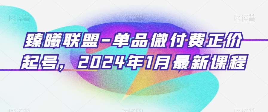 臻曦联盟-单品微付费正价起号,2024年1月最新课程网创吧-网创项目资源站-副业项目-创业项目-搞钱项目网创吧