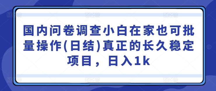 国内问卷调查小白在家也可批量操作(日结)真正的长久稳定项目,日入1k【揭秘】网创吧-网创项目资源站-副业项目-创业项目-搞钱项目网创吧