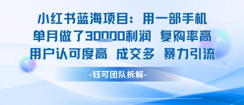 小红书蓝海项目,一部手机单月做了3W利润,小白也能月入过1W用户认可度高成交多网创吧-网创项目资源站-副业项目-创业项目-搞钱项目网创吧