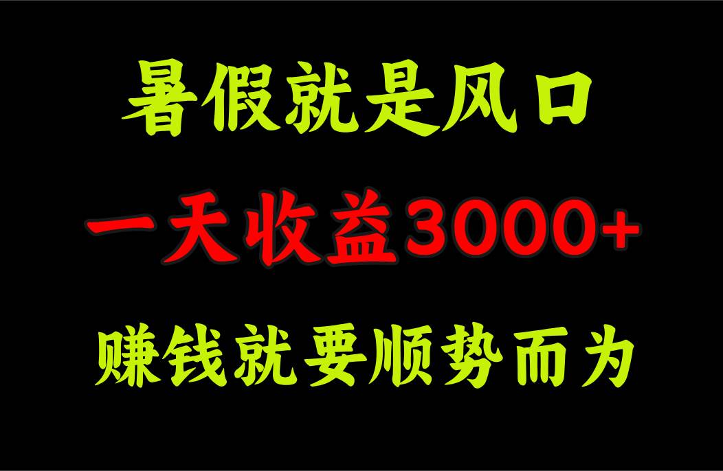 (11670期)一天收益3000+ 赚钱就是顺势而为,暑假就是风口网创吧-网创项目资源站-副业项目-创业项目-搞钱项目网创吧