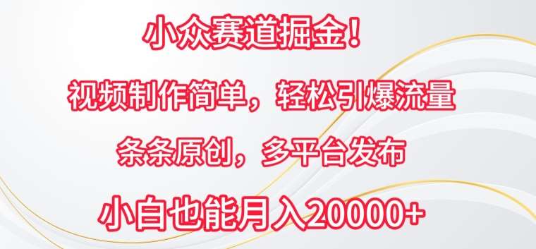 小众赛道掘金，视频制作简单，轻松引爆流量，条条原创，多平台发布【揭秘】网创吧-网创项目资源站-副业项目-创业项目-搞钱项目网创吧