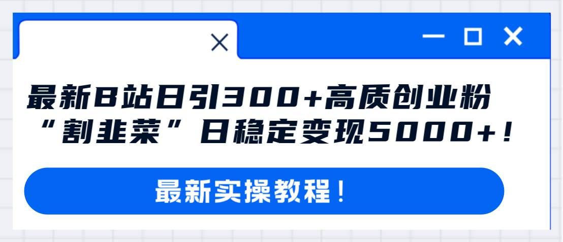 (8216期)最新B站日引300+高质创业粉教程!“割韭菜”日稳定变现5000+!网创吧-网创项目资源站-副业项目-创业项目-搞钱项目网创吧
