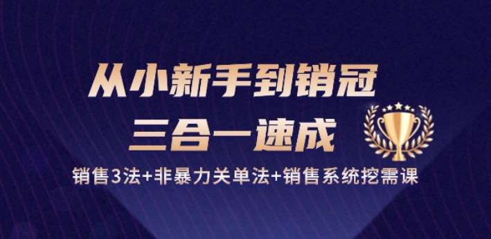 从小新手到销冠 三合一速成:销售3法+非暴力关单法+销售系统挖需课 (27节)网创吧-网创项目资源站-副业项目-创业项目-搞钱项目网创吧