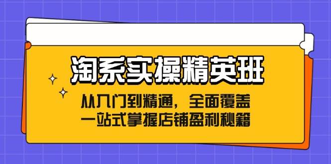 (12276期)淘系实操精英班:从入门到精通,全面覆盖,一站式掌握店铺盈利秘籍网创吧-网创项目资源站-副业项目-创业项目-搞钱项目网创吧