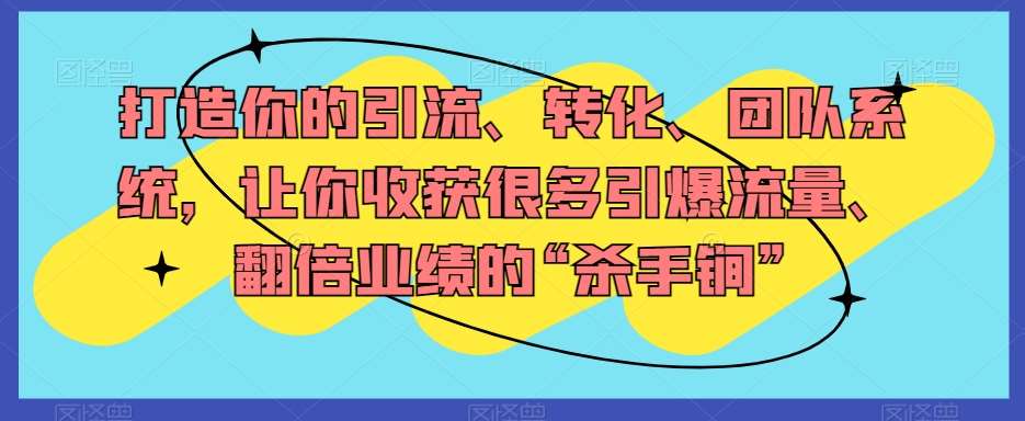 打造你的引流、转化、团队系统,让你收获很多引爆流量、翻倍业绩的“杀手锏”网创吧-网创项目资源站-副业项目-创业项目-搞钱项目网创吧