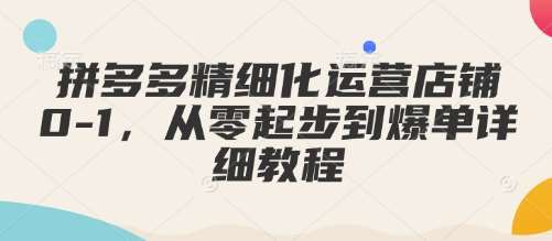 拼多多精细化运营店铺0-1,从零起步到爆单详细教程网创吧-网创项目资源站-副业项目-创业项目-搞钱项目网创吧
