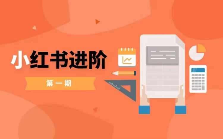 小红书进阶篇,零基础小白实战课,普通人变现的课程网创吧-网创项目资源站-副业项目-创业项目-搞钱项目网创吧