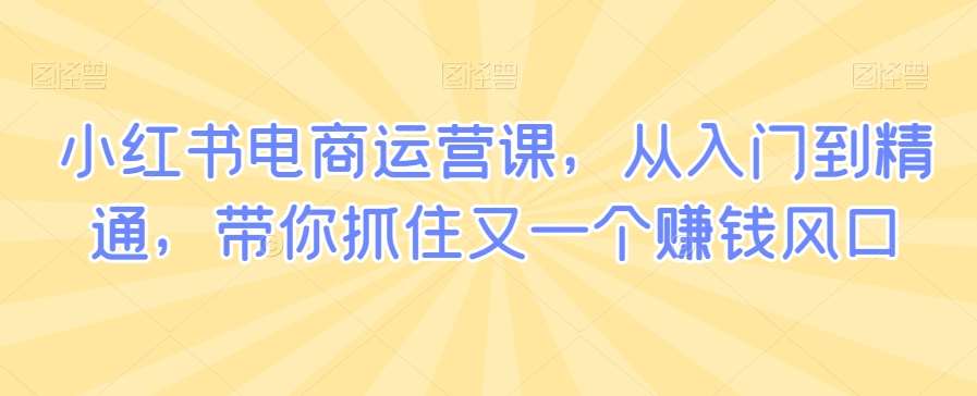小红书电商运营课,从入门到精通,带你抓住又一个赚钱风口网创吧-网创项目资源站-副业项目-创业项目-搞钱项目网创吧
