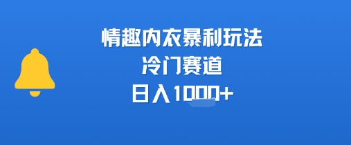 情趣内衣暴利玩法,冷门赛道,日入1k+网创吧-网创项目资源站-副业项目-创业项目-搞钱项目网创吧