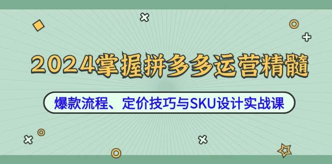 （12703期）2024掌握拼多多运营精髓：爆款流程、定价技巧与SKU设计实战课网创吧-网创项目资源站-副业项目-创业项目-搞钱项目网创吧