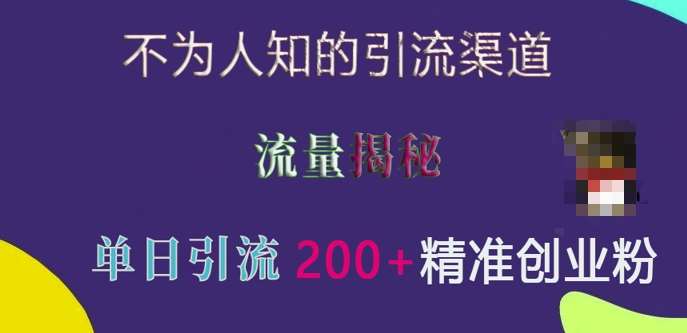 不为人知的引流渠道,流量揭秘,实测单日引流200+精准创业粉【揭秘】网创吧-网创项目资源站-副业项目-创业项目-搞钱项目网创吧