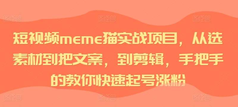 短视频meme猫实战项目,从选素材到把文案,到剪辑,手把手的教你快速起号涨粉网创吧-网创项目资源站-副业项目-创业项目-搞钱项目网创吧
