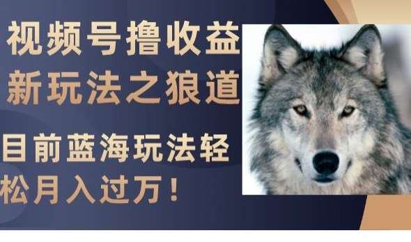 视频号撸收益新玩法之狼道，目前蓝海玩法，轻松月入过万【揭秘】网创吧-网创项目资源站-副业项目-创业项目-搞钱项目网创吧