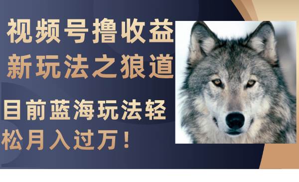 (8042期)视频号撸收益新玩法之狼道,目前蓝海玩法轻松月入过万!网创吧-网创项目资源站-副业项目-创业项目-搞钱项目网创吧
