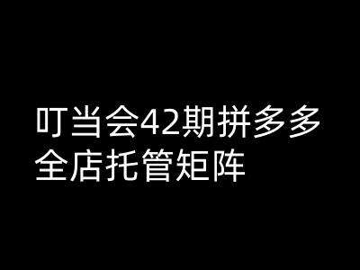 叮当会拼多多打爆班原创高阶技术第42期,拼多多全店托管矩阵网创吧-网创项目资源站-副业项目-创业项目-搞钱项目网创吧