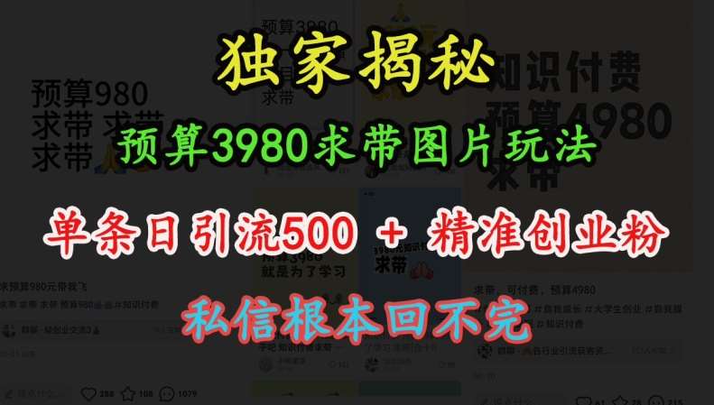 预算3980求带 图片玩法,单条日引流500+精准创业粉,私信根本回不完网创吧-网创项目资源站-副业项目-创业项目-搞钱项目网创吧