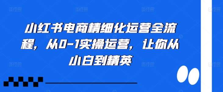 小红书电商精细化运营全流程,从0-1实操运营,让你从小白到精英网创吧-网创项目资源站-副业项目-创业项目-搞钱项目网创吧