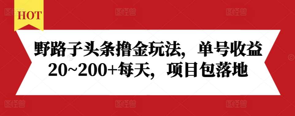 野路子头条撸金玩法，单号收益20~200+每天，项目包落地网创吧-网创项目资源站-副业项目-创业项目-搞钱项目网创吧