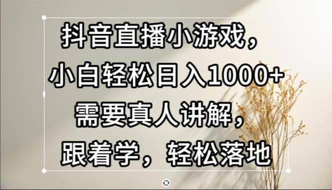 （13075期）抖音直播小游戏，小白轻松日入1000+需要真人讲解，跟着学，轻松落地网创吧-网创项目资源站-副业项目-创业项目-搞钱项目网创吧