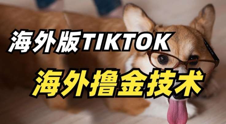 抖音海外版tiktok撸金技术,这个风口行业,赚钱真的不难【揭秘】网创吧-网创项目资源站-副业项目-创业项目-搞钱项目网创吧