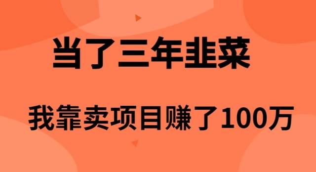 (10149期)当了3年韭菜,我靠卖项目赚了100万网创吧-网创项目资源站-副业项目-创业项目-搞钱项目网创吧