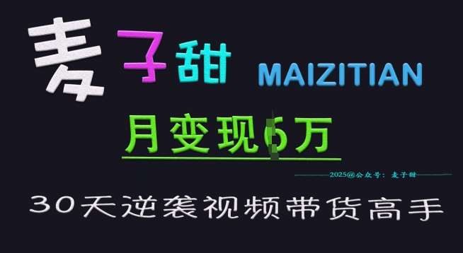 麦子甜30天逆袭视频带货高手，单月变现6W加特训营网创吧-网创项目资源站-副业项目-创业项目-搞钱项目网创吧