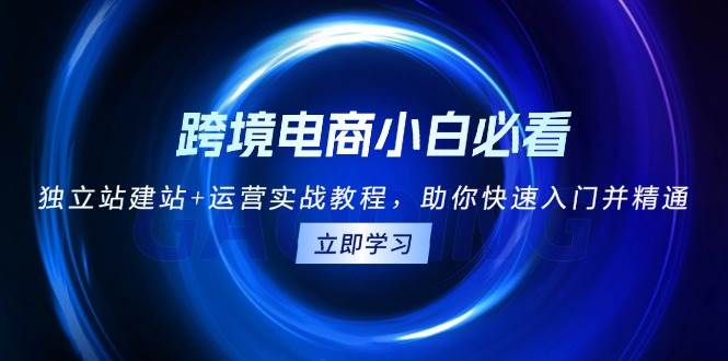 (13503期)跨境电商小白必看!独立站建站+运营实战教程,助你快速入门并精通网创吧-网创项目资源站-副业项目-创业项目-搞钱项目网创吧