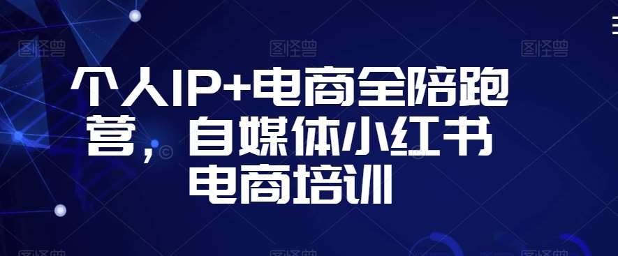 个人IP+电商全陪跑营,自媒体小红书电商培训网创吧-网创项目资源站-副业项目-创业项目-搞钱项目网创吧