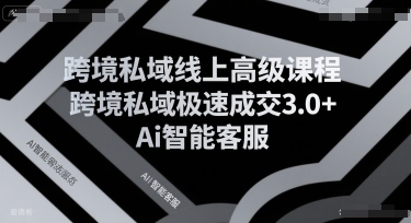 跨境私域线上高级课程,跨境私域极速成交3.0+Ai智能客服网创吧-网创项目资源站-副业项目-创业项目-搞钱项目网创吧