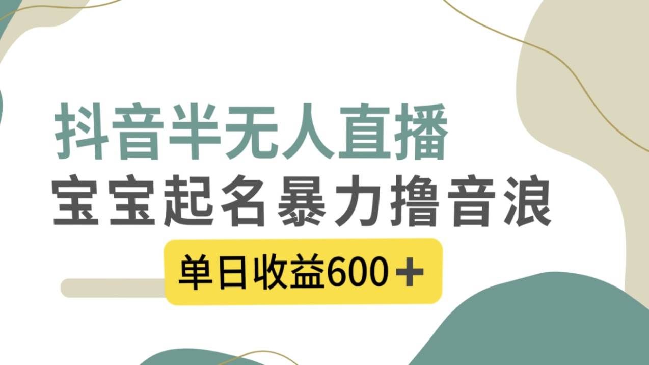 (8192期)抖音半无人直播,宝宝起名,暴力撸音浪,单日收益600+网创吧-网创项目资源站-副业项目-创业项目-搞钱项目网创吧