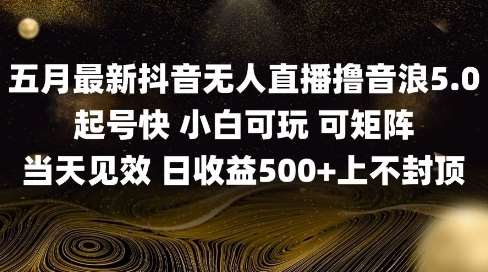2025五月最新无人直播撸音浪单日产出5张+实操教程【揭秘】网创吧-网创项目资源站-副业项目-创业项目-搞钱项目网创吧