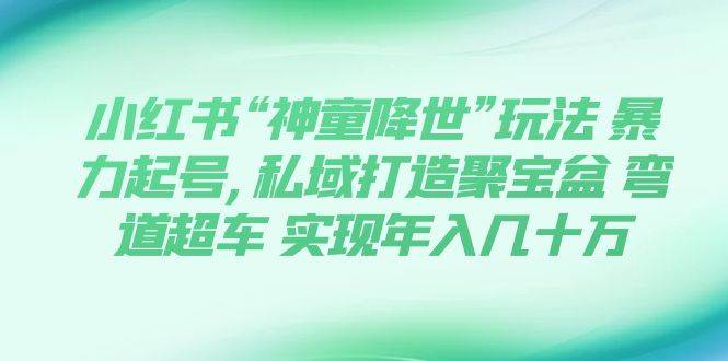 (7673期)小红书“神童降世”玩法 暴力起号,私域打造聚宝盆 弯道超车 实现年入几十万网创吧-网创项目资源站-副业项目-创业项目-搞钱项目网创吧