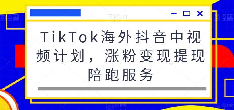 TikTok海外抖音中视频计划,涨粉变现提现陪跑服务网创吧-网创项目资源站-副业项目-创业项目-搞钱项目网创吧