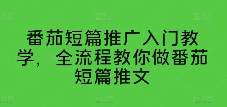 番茄短篇推广入门教学,全流程教你做番茄短篇推文网创吧-网创项目资源站-副业项目-创业项目-搞钱项目网创吧