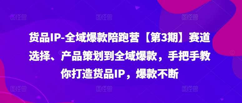货品IP全域爆款陪跑营【第3期】赛道选择、产品策划到全域爆款,手把手教你打造货品IP,爆款不断网创吧-网创项目资源站-副业项目-创业项目-搞钱项目网创吧