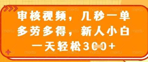 最新审核视频,几秒一单,多劳多得,新人小白一天轻松3张【揭秘】网创吧-网创项目资源站-副业项目-创业项目-搞钱项目网创吧