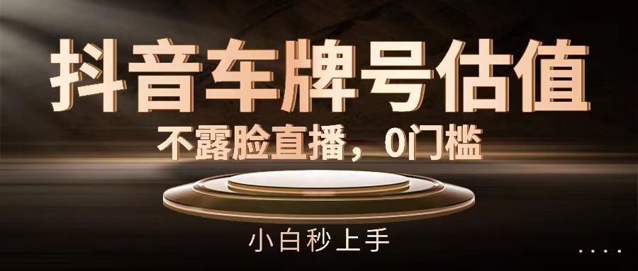 抖音车牌号估值,不露脸直播,0门槛,小白秒上手网创吧-网创项目资源站-副业项目-创业项目-搞钱项目网创吧